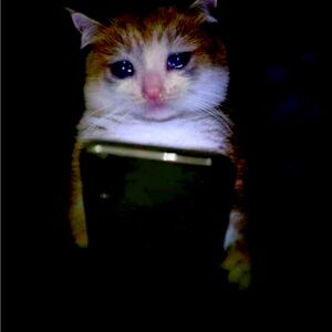 Meet your Posher, Lili